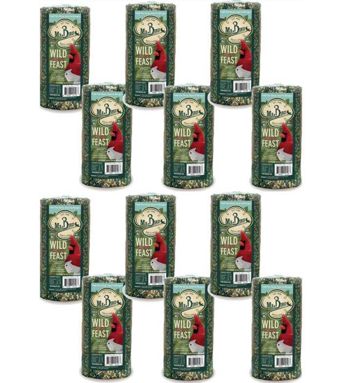 Wild Bird Feast Cylinder Small 28 oz. 12/Pack